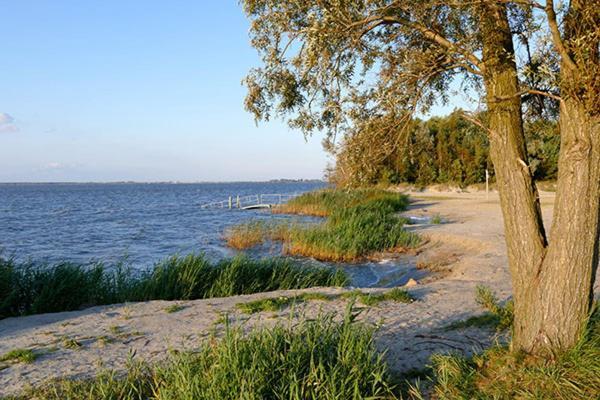 Huus Am Darss Villa Fuhlendorf  Buitenkant foto